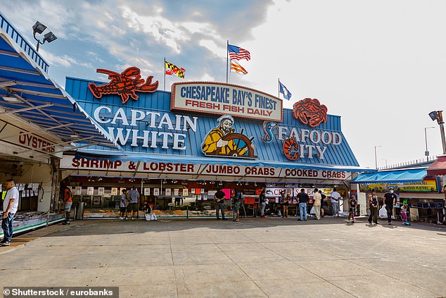 The fish market at The Wharf, where you can watch giant shrimp being theatrically tossed in huge woks.