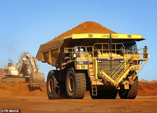 The mining giant said a global surplus of nickel has forced it to halt extraction of the mineral.