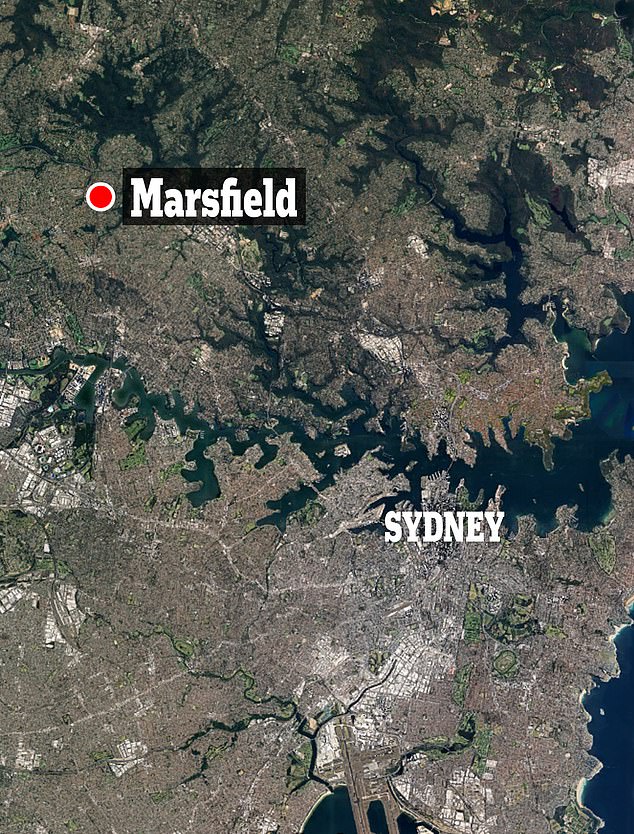 A woman and a teenage girl have been found dead inside a house in Sydney's north.