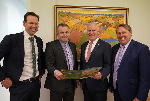 His partner reportedly contacted Bettles' friend of 15 years and former employer, Nationalist MP McCormack (the two pictured together), who raised the alarm with the Department of Foreign Affairs and Foreign Secretary Penny Wong on Monday.