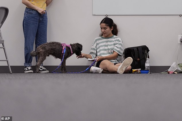 Houston resident Tiffany Guerra charges her cell phone and spends time with her dog Finn at a cooling station in Houston