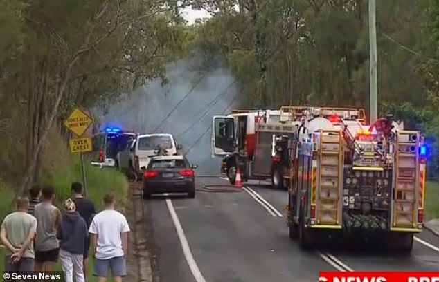 Pictured: Emergency services attend the aftermath of the crash in Taufua, which killed Susan Zimmer, 70, her partner Chris Fawcett, 79, and Zimmer's daughter Steffanie.