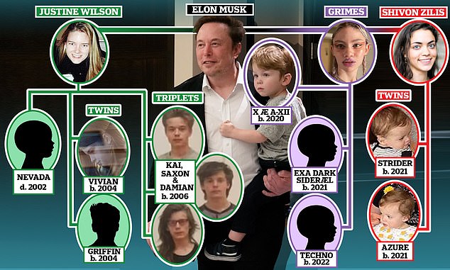 Elon Musk's children with three different mothers, shown in the graphic, will now reportedly be joined by a new sibling, after Zilis and the billionaire welcomed a third child earlier this year.