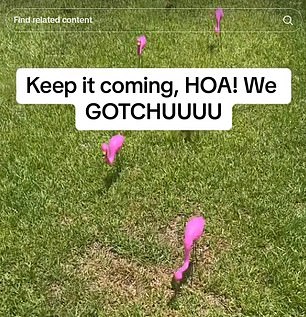 As does a flock of 10 plastic flamingos.