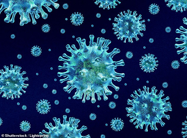 This year, Australia has recorded more than 170,000 cases of flu, an increase of almost 30 per cent on last year (pictured: a computer graphic of the flu virus)