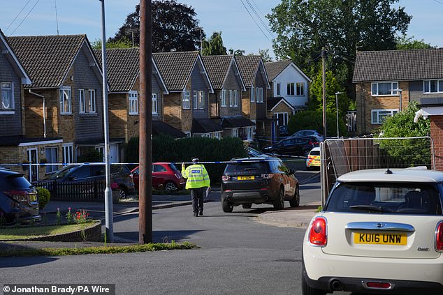 A view of the scene at Ashlyn Close in Bushey, Hertfordshire, where the Hunt family lived.