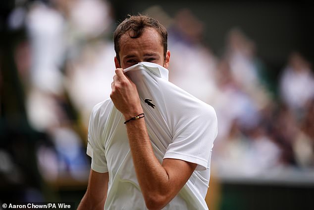 Daniil Medvedev took the first set but faltered against the defending Wimbledon champion.