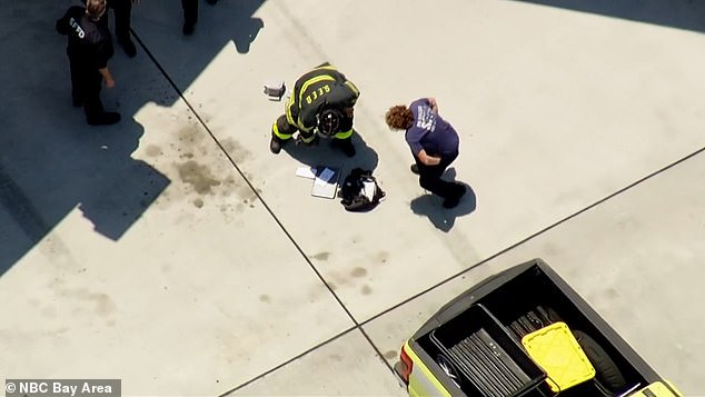 A passenger's suitcases were photographed on the ground next to the taxiway.