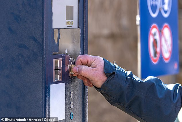 When they put the experiment to the test, they were stunned to discover that they had only been given 20 minutes of free parking instead of 12 hours (Archive image)