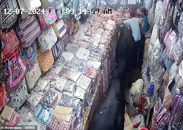 A woman, wearing a light-collared shirt, tries to escape by climbing onto the merchandise.