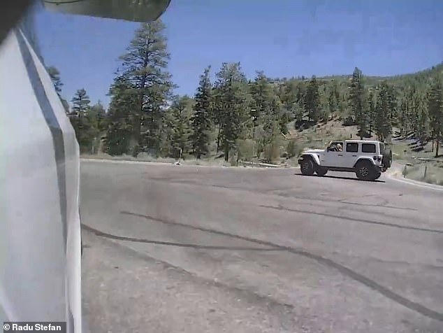 Radu then loses control of the Tesla as it spins and narrowly misses the edge of the mountain cliffs and the Jeep driver speeds off, leaving the Stefans stranded without cell signal.