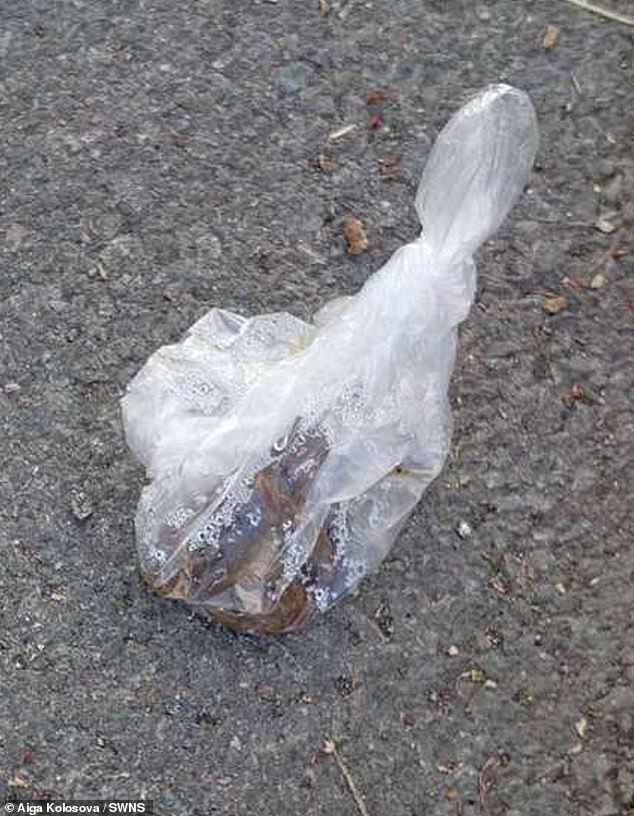 A photo of the bag of poop dumped outside Aiga's house by the shameless dog walker.