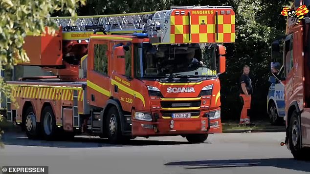 Firefighters arrived at the scene of the fire in Malmö and found bodies already riddled with bullets.