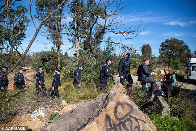 The body was discovered by two dog walkers in woodland (pictured: NSW Police officers return from searching woodland near Sandy Point Quarry in Menai in July 2020)