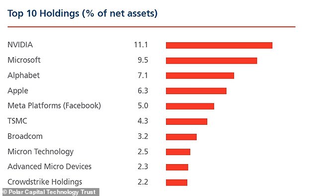 PCT has high exposure to top-performing tech giants