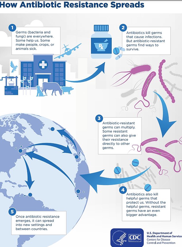 The above shows how antibiotic-resistant infections spread in the US and between countries.