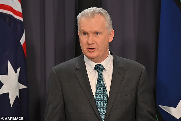 Industrial Relations Minister Tony Burke told reporters on Wednesday: 