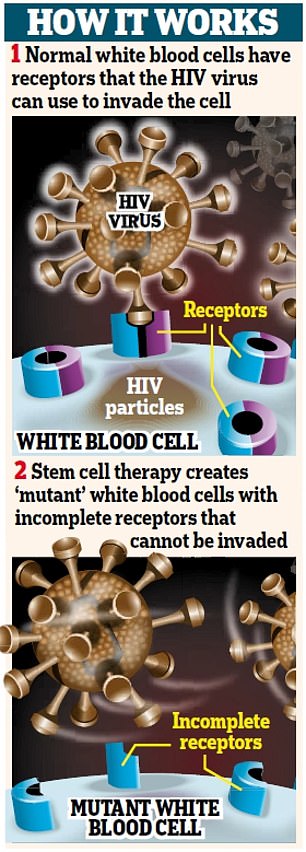 1721324411 900 Seventh HIV patient cured after stem cell transplant for leukemia