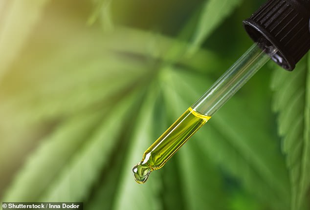 'CBD oil is not allowed on cruise ships due to its different legality around the world,' says Will