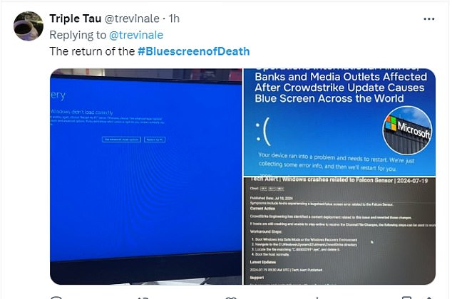 Another blue screen of death meme shows a computer with the message 