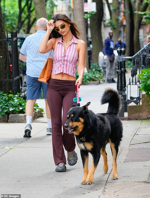 On Thursday, the cover girl was spotted walking her dog Colombo in New York.