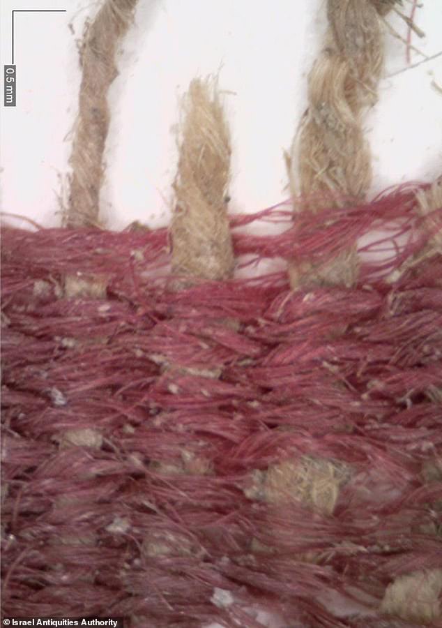 The team discovered the ancient fabric in Israel, finding a plant-based material from the southern Levant that was used to make the fibers and the weft threads were made of wool.