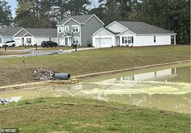 The pond was sold as an 'amenity', but flooding has made life a misery for residents.