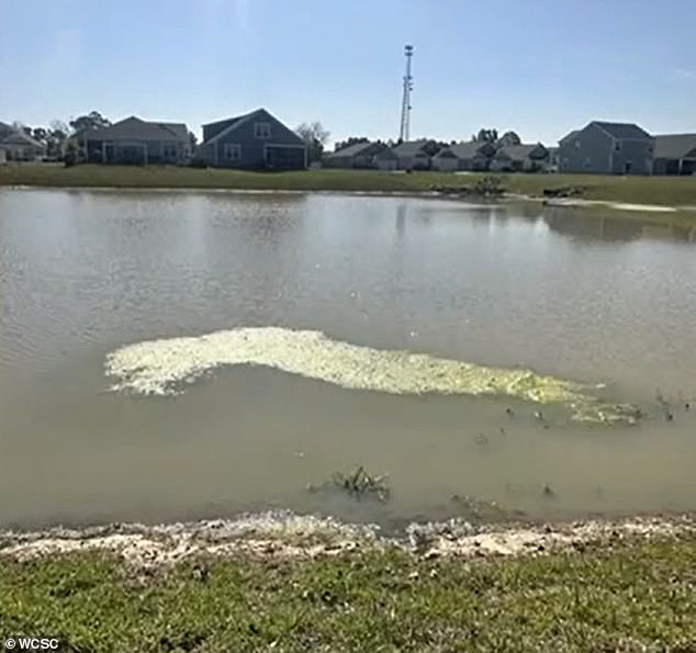 And the standing water reaches within a few meters of the houses in the Santee, South Carolina, development.