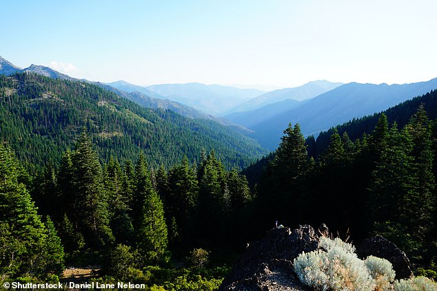 Mount Etna on Sawyers Bar Road in Siskiyou County, California, overlooking the Russian Desert