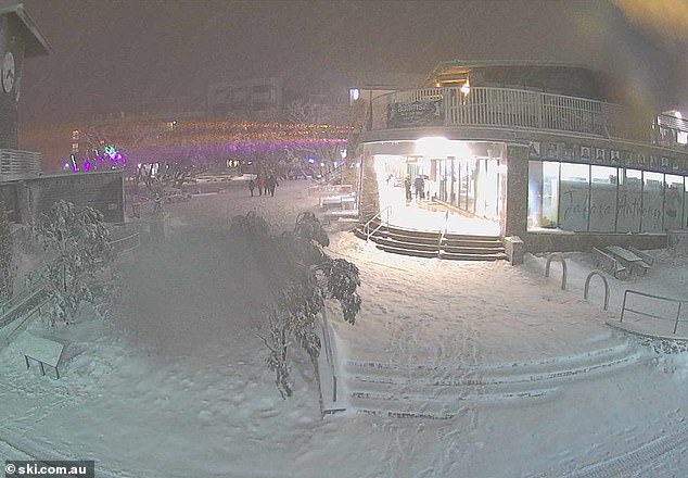 A snow cam in Mt Buller's village square on Saturday night shows the alpine regions are receiving a thick coating of snow.