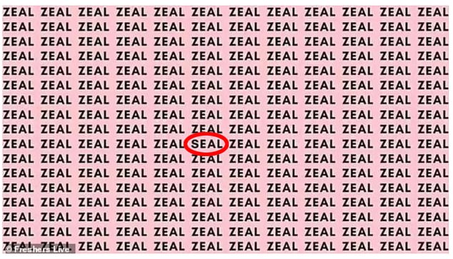 If you're still confused, focus your gaze towards the center of the image on the tenth row to see if you can spot the word Rebel.