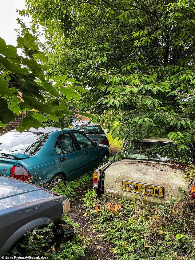 Rusty, old cars had been left in the overgrown garden.