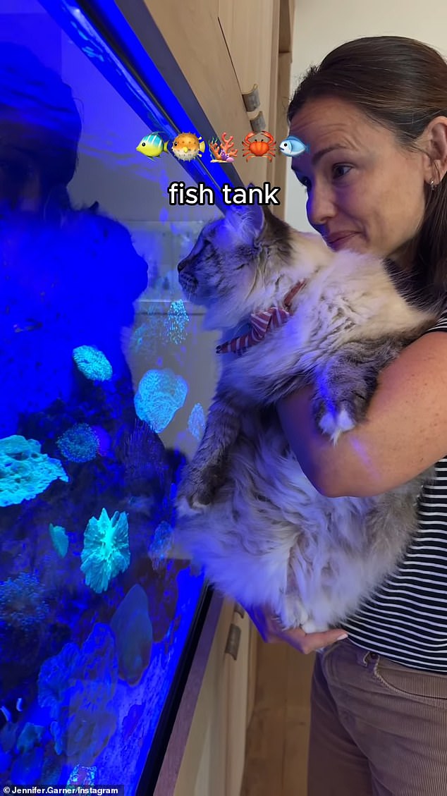 Garner also allowed Moose to get a closer look at the fish tank while holding the furry cat close to watch the fish swimming around inside.