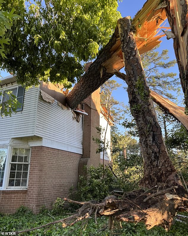 A tree split in half by the Virginia Beach tornado is seen lodged in the roof of a residential property