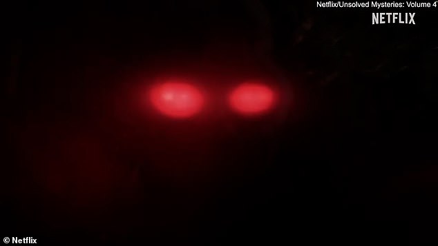 Netflix says: 'Amidst disturbing sightings of a tall, winged, red-eyed humanoid creature, paranormal investigators explore the Mothman's apparent link to great disasters'