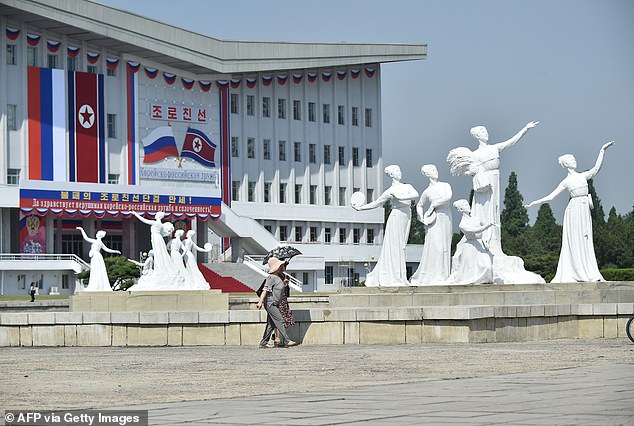 The national flags of North Korea and Russia are displayed in Pyongyang in June for Russian President Vladimir Putin's summit with North Korea's Kim Jong Un.