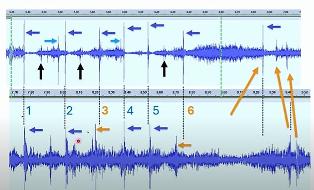 The evidence, according to an economist, was that forensic experts identified three weapons during the event and at least two shots had audio signatures inconsistent with the other six.