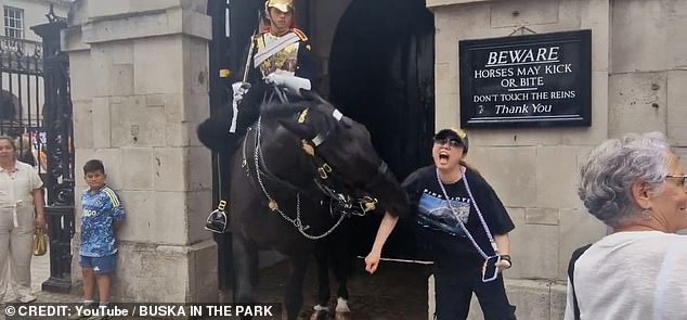 The woman screams as the black horse bites her on the arm.