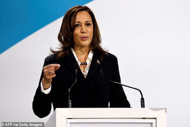 After weeks of uncertainty, it would be a bold move for Democrats to try to ignore Biden's endorsement of Harris (pictured) and use the few weeks remaining before the Democratic convention to find another candidate.