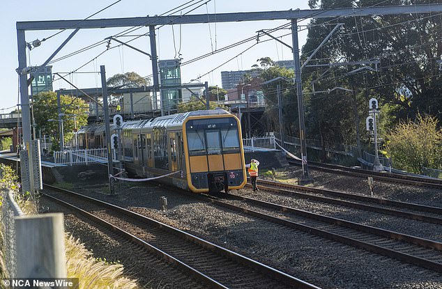 The twins' father heroically jumped onto the tracks to try to save his daughters, but was hit by a passing train, killing him and one of the girls.