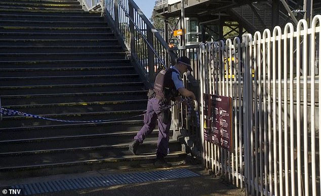 Police have closed the station and launched an investigation to determine what caused the stroller to overturn onto the tracks.