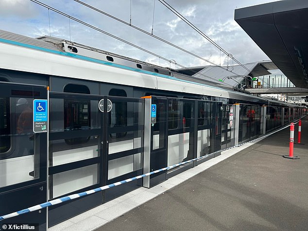 One possible safety measure could be mesh doors on platforms, which have been installed across the new Sydney Metro network (pictured)