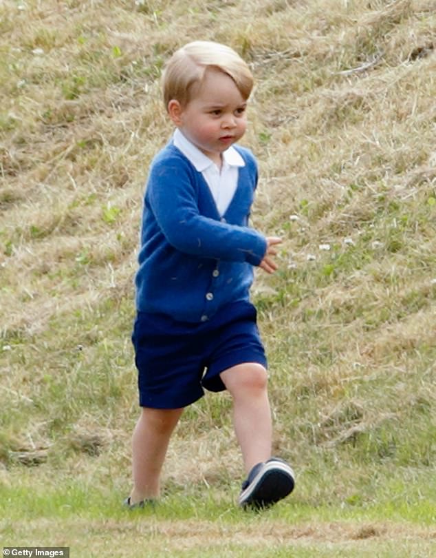 George, who is about to turn two, walks around the Beaufort Polo Club in 2015