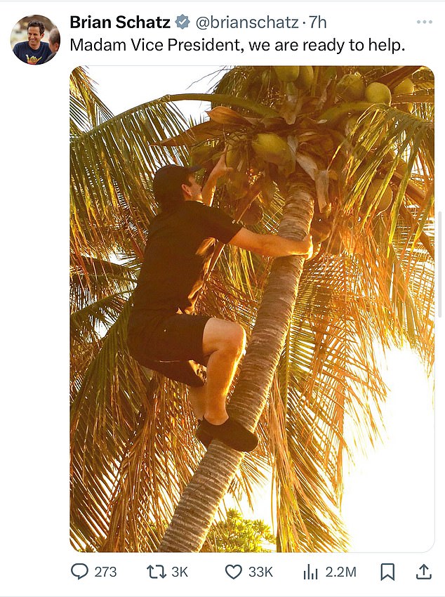 Hawaii Sen. Brian Schatz posted a photo of himself climbing a coconut tree, a reference to Harris's infamous anecdote about something she said her mother used to say.