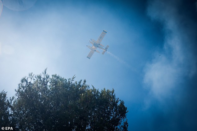 A plane fights a forest fire in Alcabideche, Cascais, as smoke rises