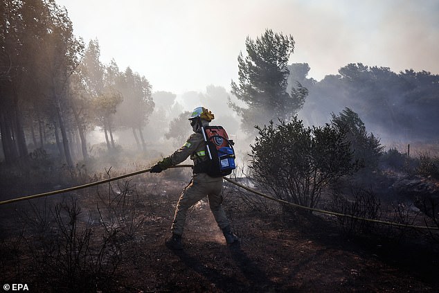 A firefighter battles a forest fire in Alcabideche. 14 people were injured in the blaze