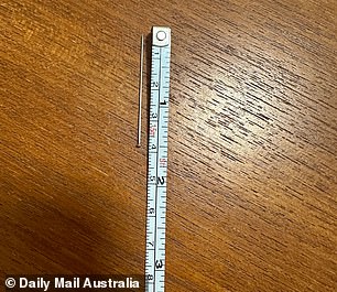 The pin measured almost 4cm.