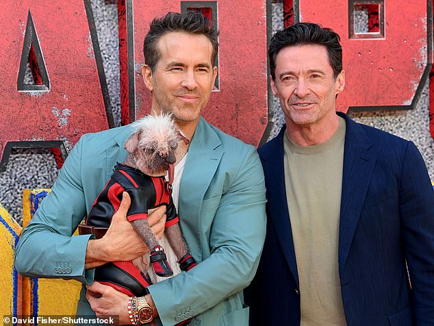 The unusual dog looked right at home on the red carpet as he posed for the cameras with co-stars Ryan Reynolds and Hugh Jackman, who beamed proudly with Peggy.