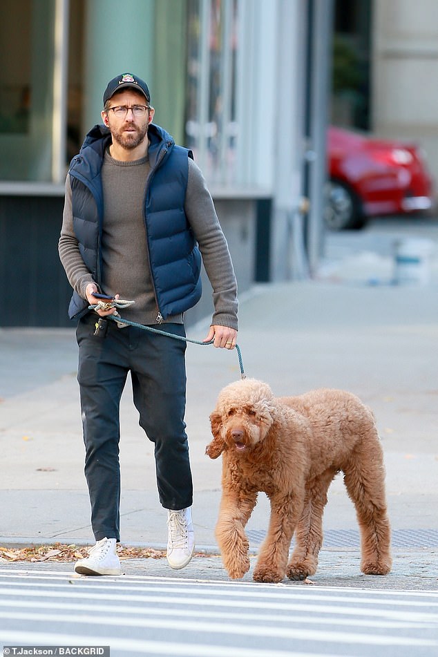 Despite being a fan of huge, furry canines, as evidenced by the multitude of dogs he and Blake Lively have owned, he knew he wanted to act with Peggy, the ugliest dog (not pictured).