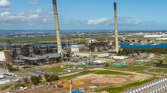 Some unionised workers have suffered possible lead poisoning at AGL's Torrens Island power station in South Australia. Photo: supplied